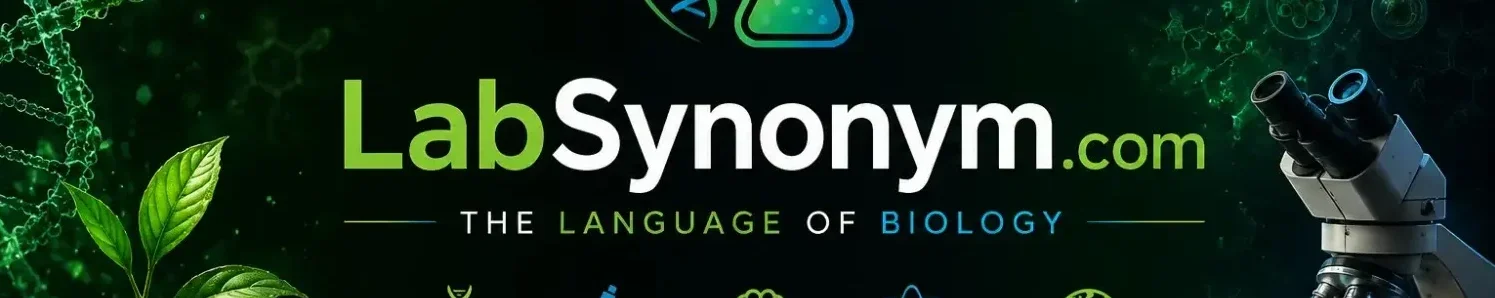 SynonymToday.com