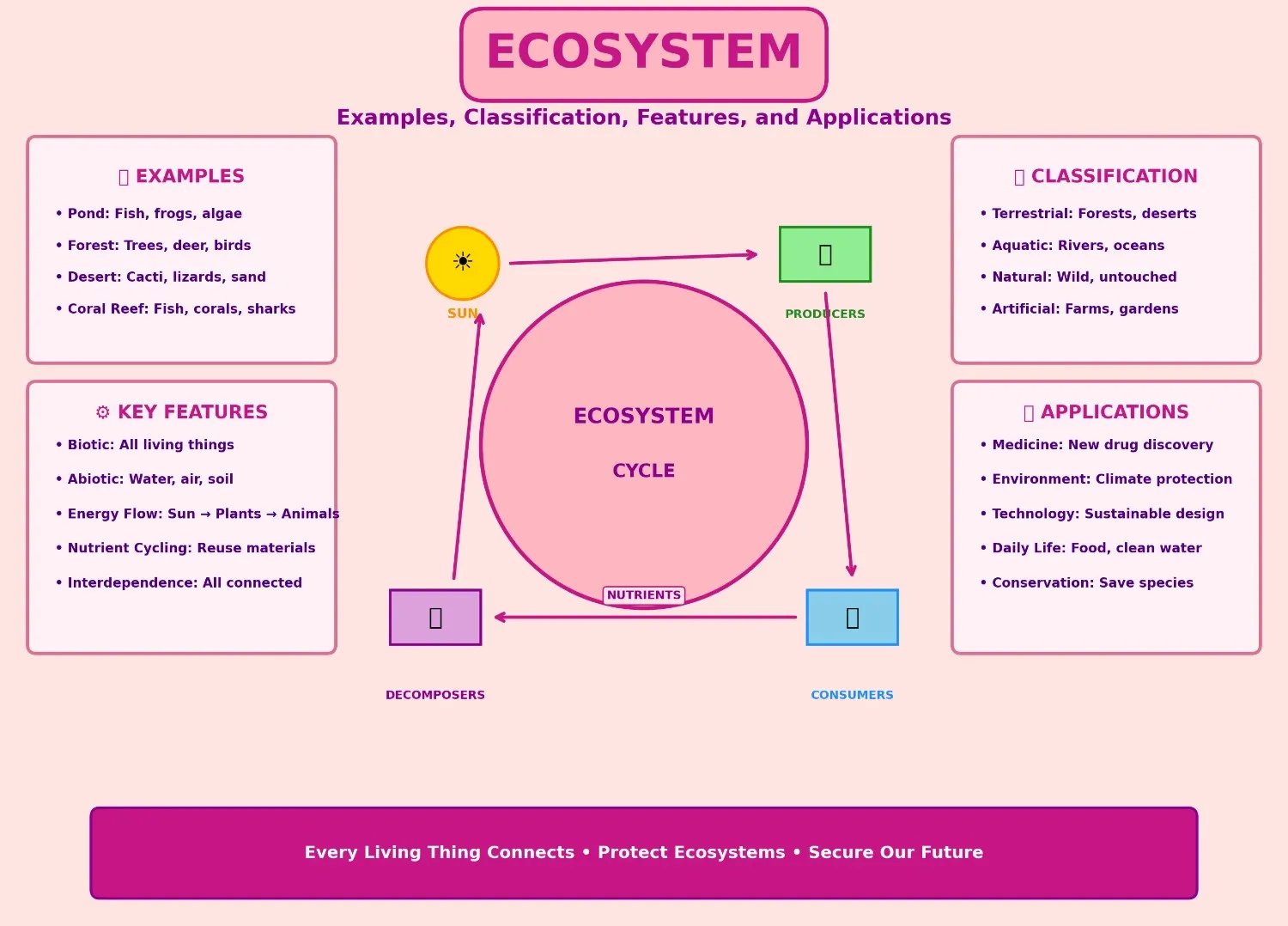 Infographic with a pink background titled "ECOSYSTEM: Examples, Classification, Features, and Applications." The central diagram shows the ecosystem cycle with arrows connecting the Sun to Producers (green), Producers to Consumers (blue), Consumers to Decomposers (purple), and Decomposers back to the Sun. Four corner boxes display: Examples (pond, forest, desert, coral reef), Classification (terrestrial, aquatic, natural, artificial), Key Features (biotic, abiotic, energy flow, nutrient cycling, interdependence), and Applications (medicine, environment, technology, daily life, conservation). A dark pink banner at the bottom reads "Every Living Thing Connects • Protect Ecosystems • Secure Our Future.